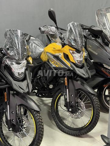 CYCLONE CARRERA 200 - 2