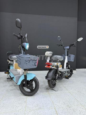 Moto Électrique Falcon E1 lithium 48V15Ah - 2