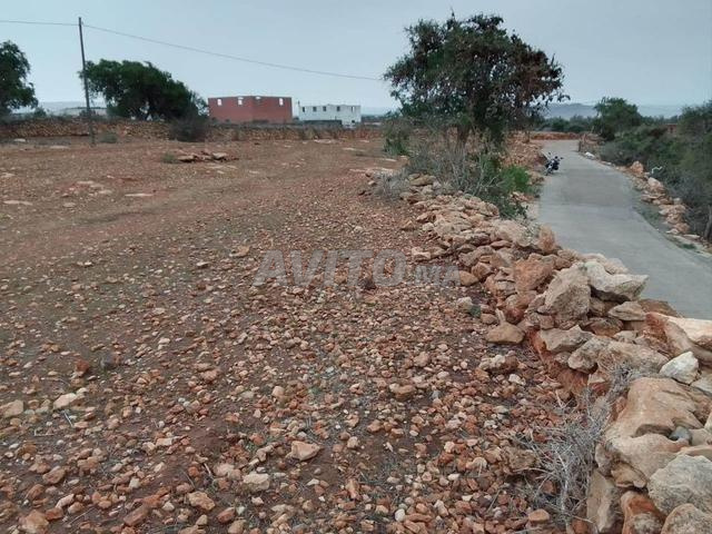 Terrain à vendre avec vue sur mer à Imsouane – 6400 m² (En cours d'immatriculation)
