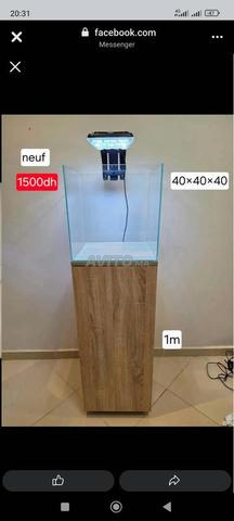 فلتر JBL لحوض السمك - 2