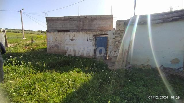 Terrain à vendre et à construire une villa - 2