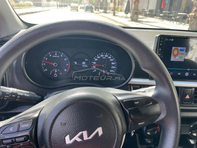picanto 2022