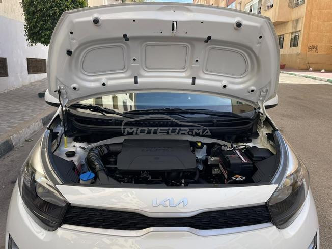 picanto 2022
