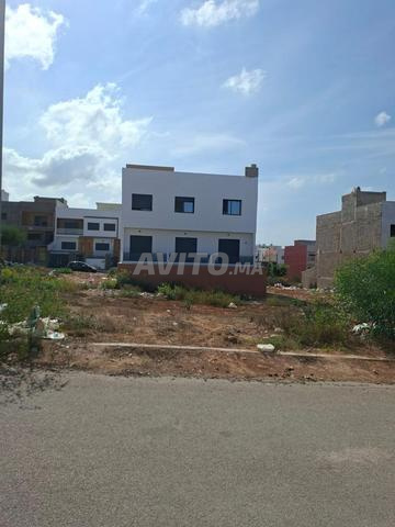 terrain villa //hawzia - 2