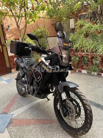 YAMAHA XTZ660 tenere - 2