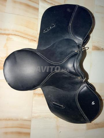 Selle anglaise de cheval - 2