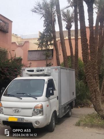 Kia frigo - 2