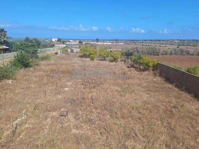 Terrain de 3000 m² à vendre