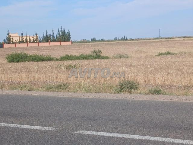 Terrain 2750 M2 sur goudron route Amizmiz Km22