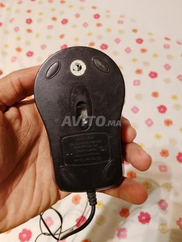 Souris DELL - 2