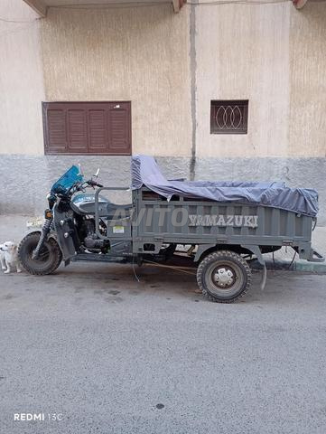 Tricycle plateau - 2
