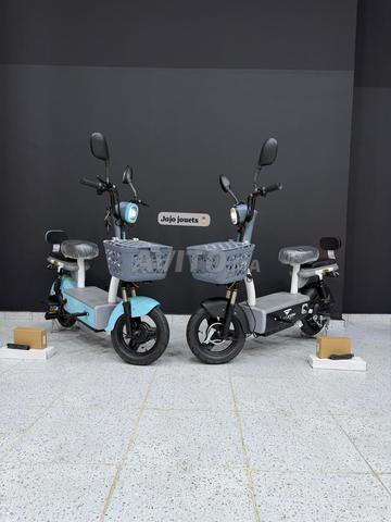 Moto Électrique Falcon E1 lithium 48V15Ah - 2