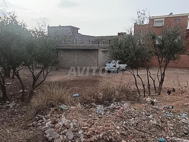 Timoulilt Beni Mellal - 2
