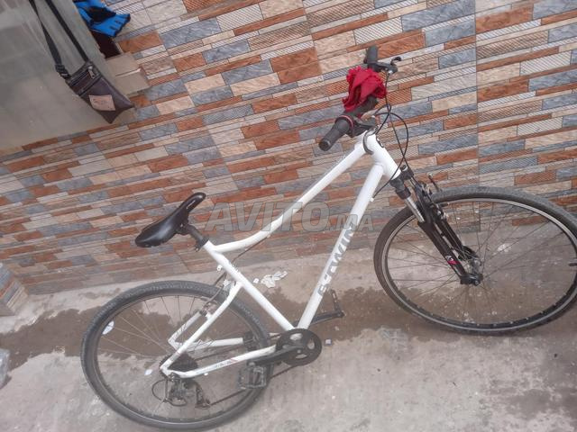 Vélo à Safi avec ses papiers 2000dh