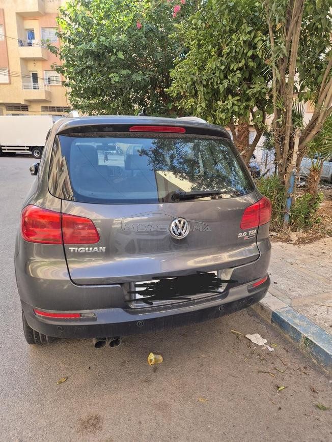 tiguan tout options