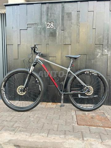 VTT Bottecchia