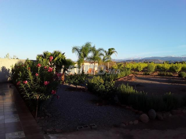 Ferme 2.2Ha Rte Ouarzazate KM25 à Louer - 2