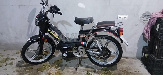 Ninja Fox 103 - 2