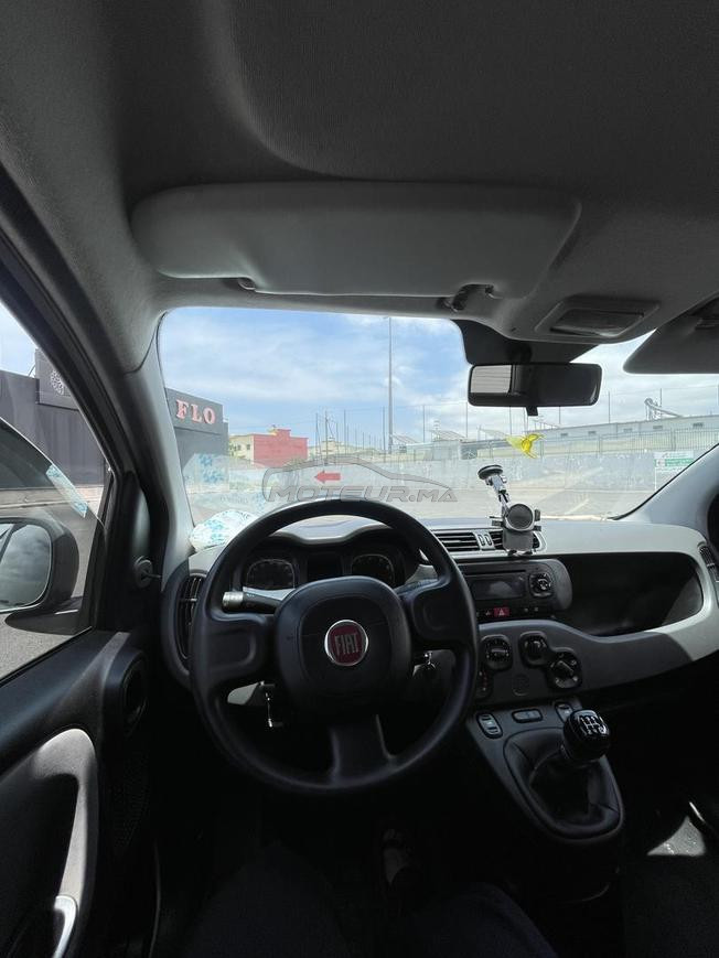 fiat panda