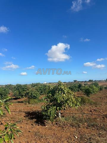 Terrain agricole - 2