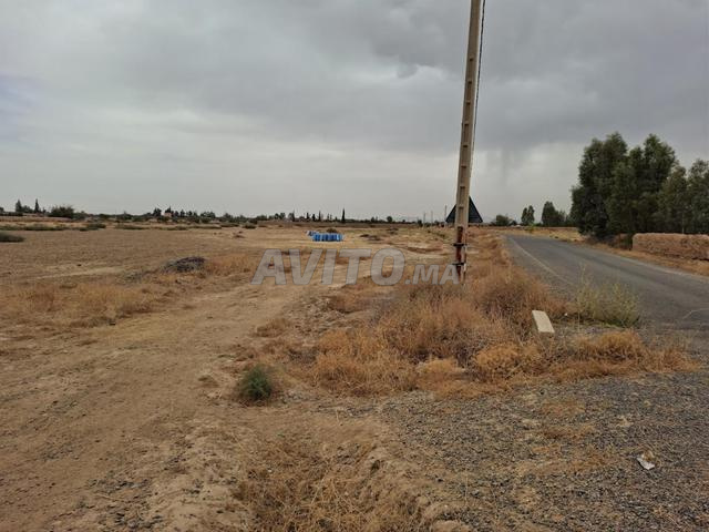 À VENDRE – TERRAIN À MARRAKECH ET ENVIRONS 🌿 - 2