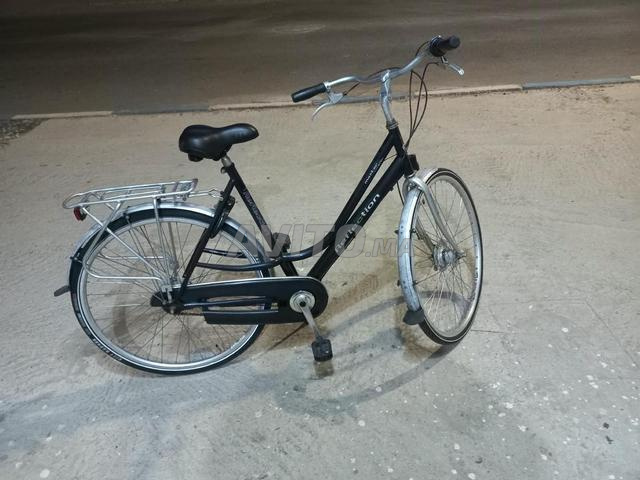 Vélo importé d'Europe - 2