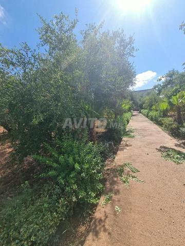 Ferme à vendre Sidi Abdallah Ghiat Tيتر - 2