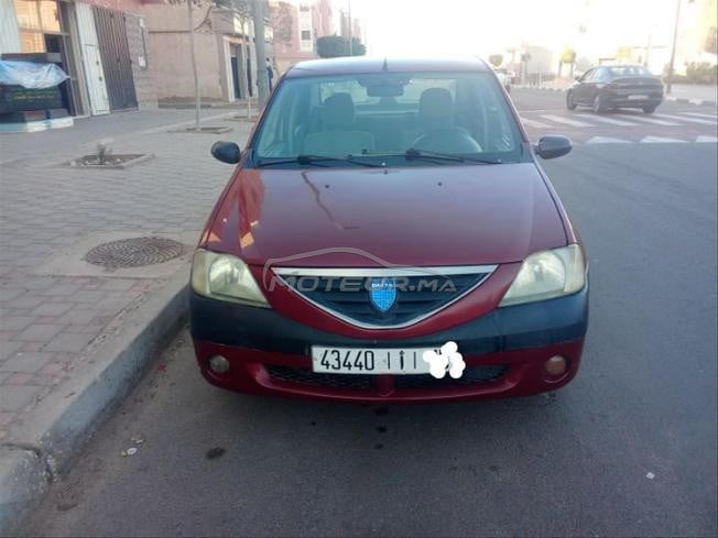 lmlih jamais aksido 3amra klima 