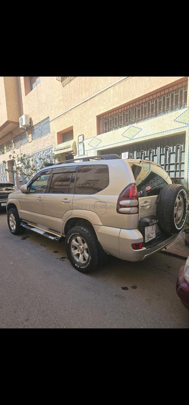prado 2007