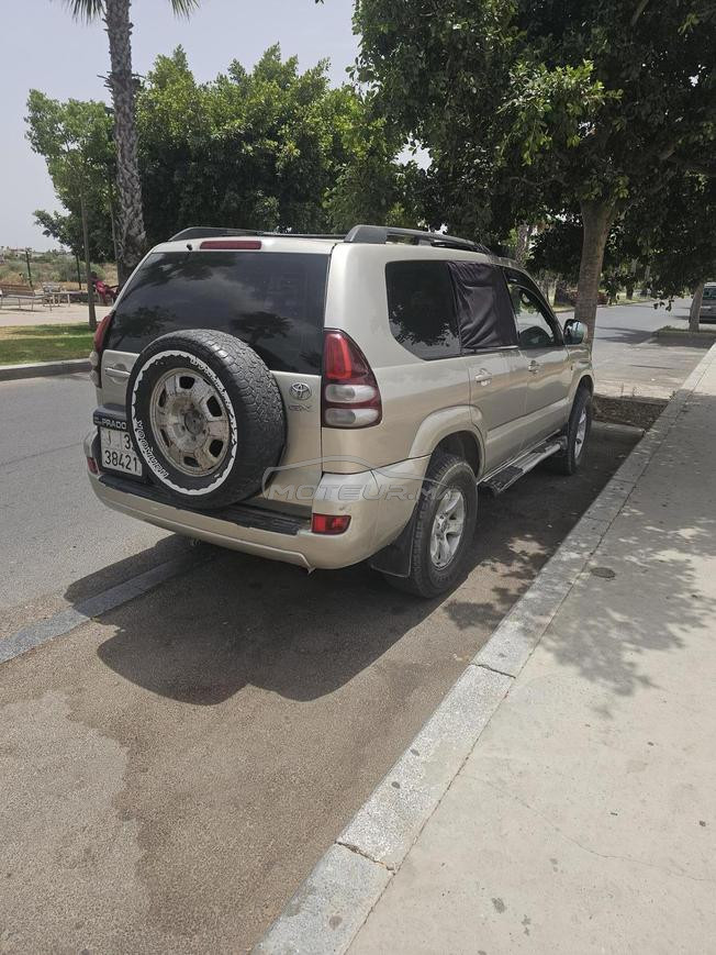 prado 2007