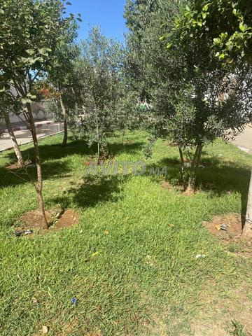Appartement à louer 65 m² à Béni Yakhlef - 2