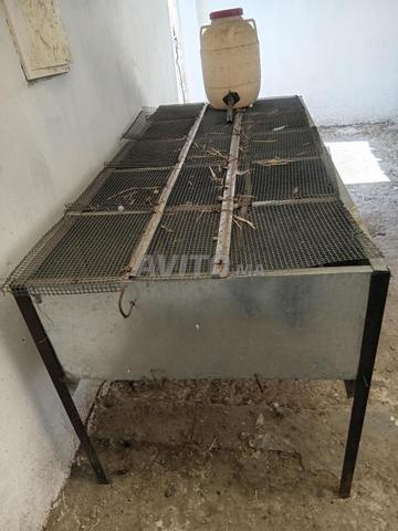 clapier à vendre - 2