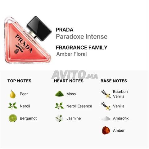 Prada Paradox L'Intense - 2