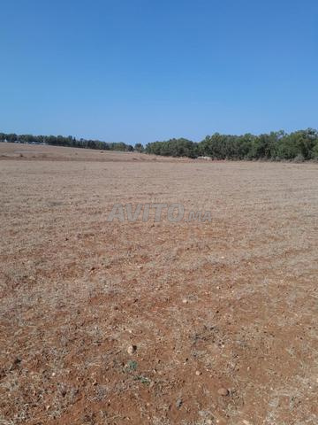 0623465153 - 2