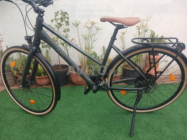 Elops longue distance 900 - 2
