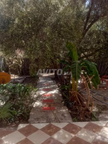 RDC maison 100m² avec un grand jardin - 2