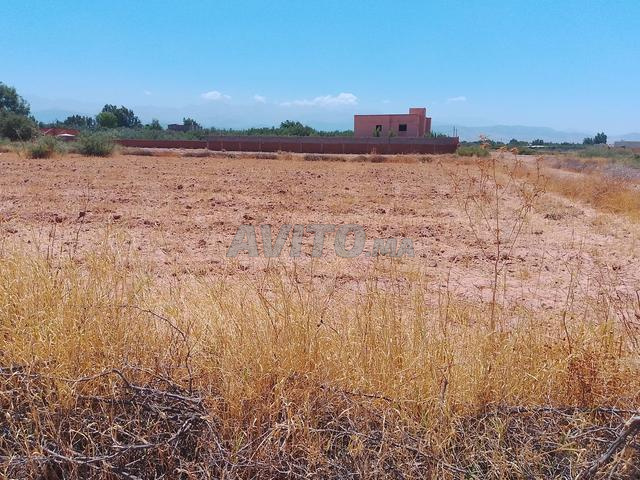 2500 متر مربع للبيع طريق أوريكة - 2