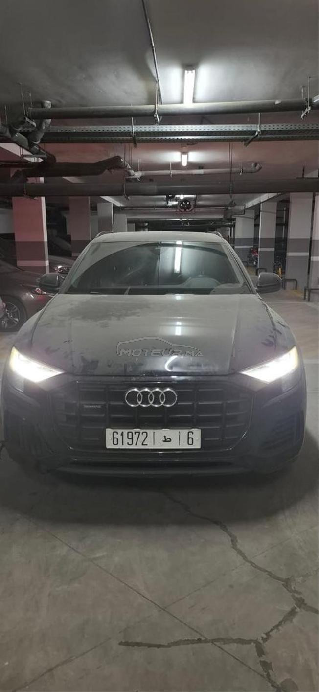 AUDI Q8 2024