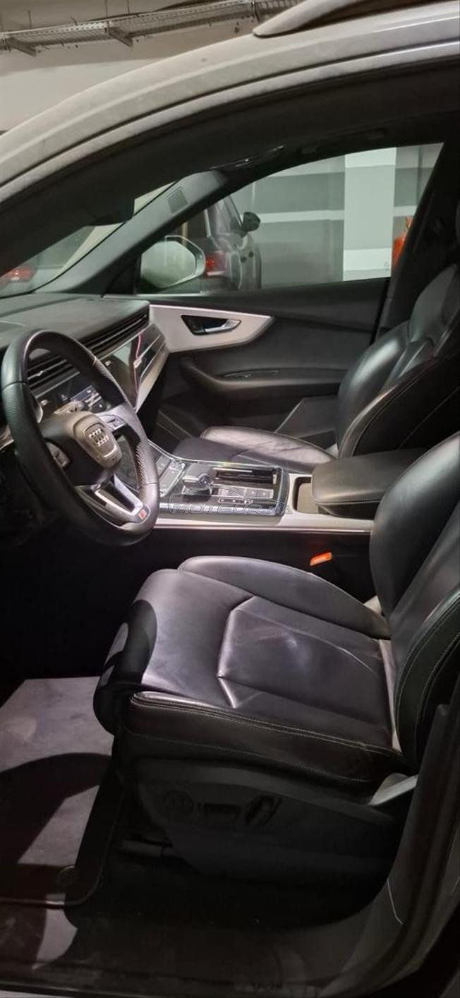 AUDI Q8 2024
