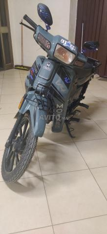 Moto propre - 2