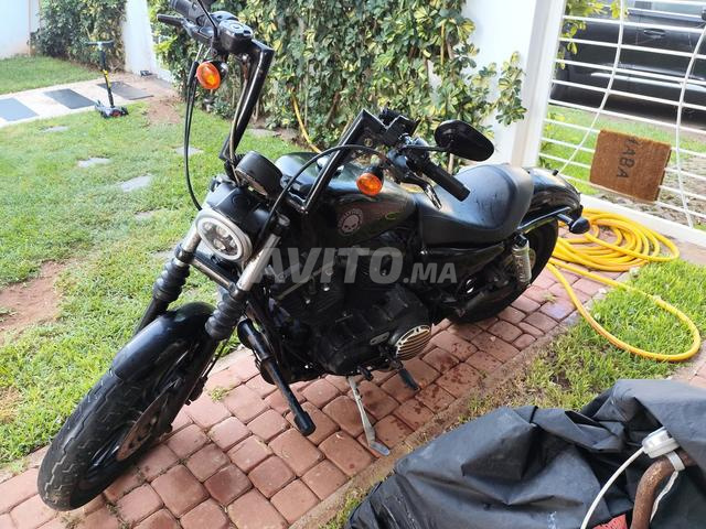 Harley Davidson Iron 883 2011