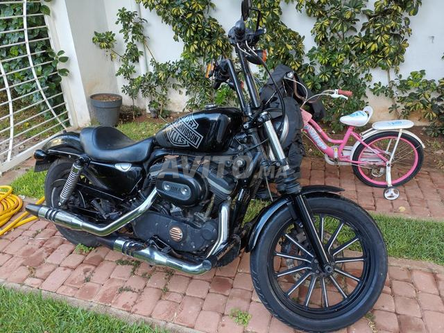 Harley Davidson Iron 883 2011 - 2