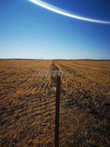 Terrain agricole Berrechid - 2