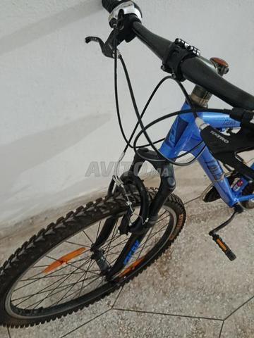هووك ريسر نقية - 2