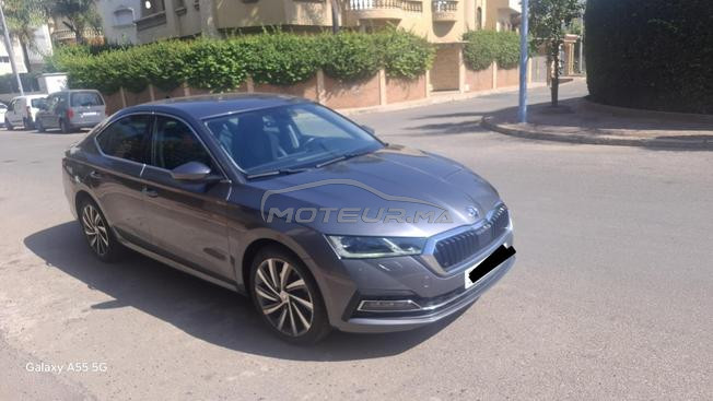 Skoda Octavia business 
