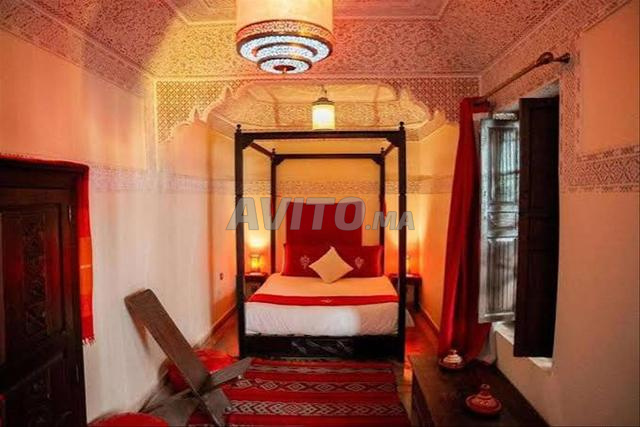 Riad en activité avec 9 chambres - 2