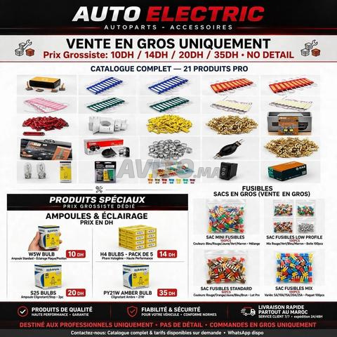 Vente de toutes pièces de rechange électriques pour voitures... pour les propriétaires de magasins