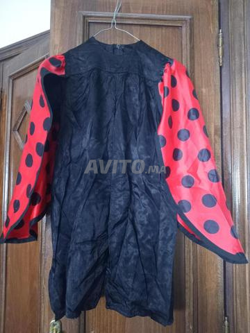 Déguisement coccinelle 3/4 ans - 2