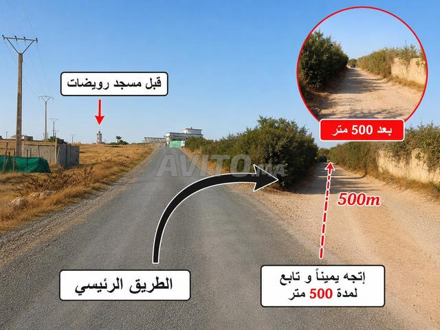أرض محفظة 2 هكتارات و 2 خدام - 2