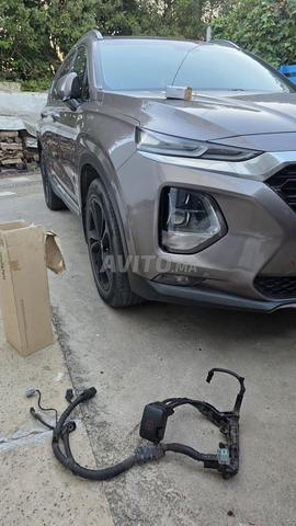 Câble positif Santa Fe 2019 occasion - 2